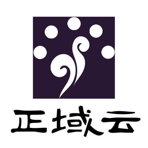 新疆正域云科技 深耕信息系统集成，赋能数字化未来